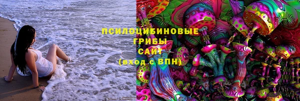 мдпв Заволжск