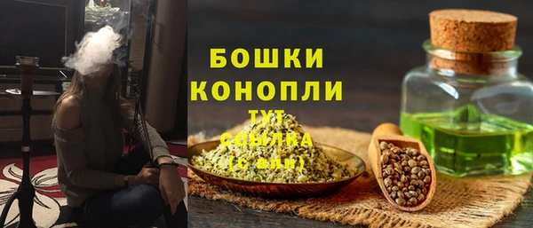 шишки Зеленодольск