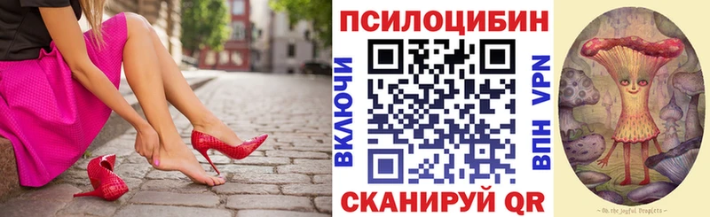 Купить  Спас-Деменск  Галлюциногенные грибы GOLDEN TEACHER 