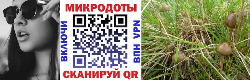 Галлюциногенные грибы мухоморы Спас-Деменск